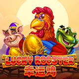 RTP joker  wiseplay777